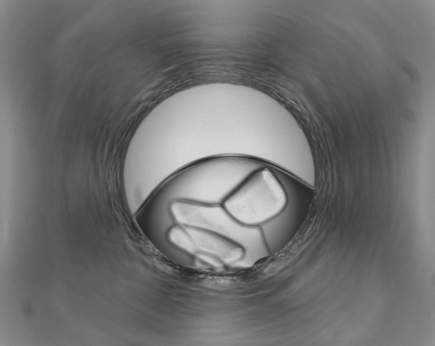 X0000113160332200909040958
