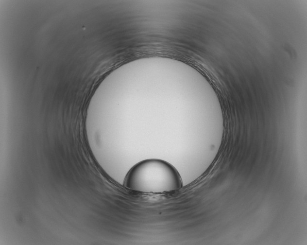 X0000113160333200909040958