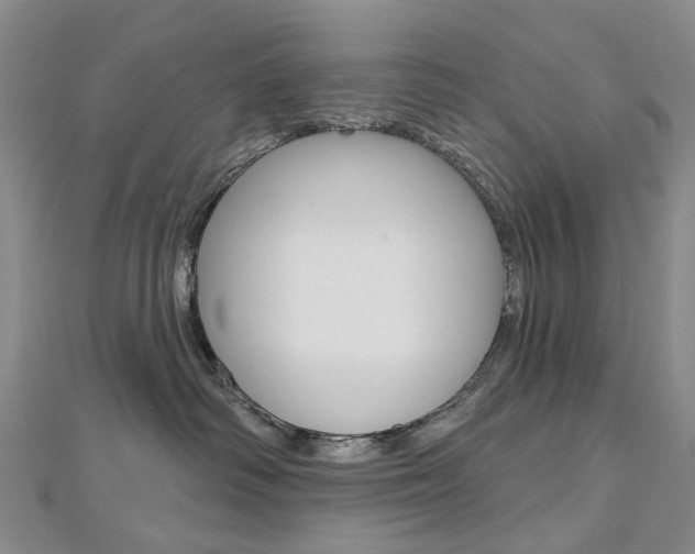 X0000113160334200909040958