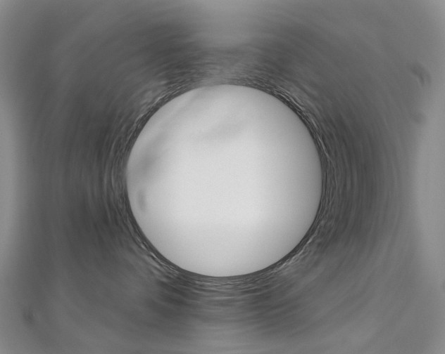 X0000113160336200909040958