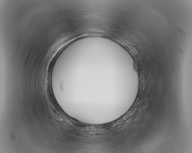 X0000113160338200909040957