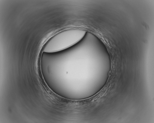X0000113160340200909040957