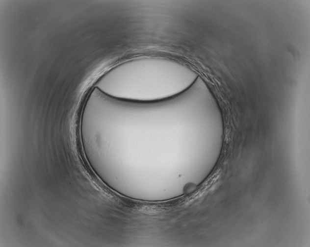 X0000113160341200909040957
