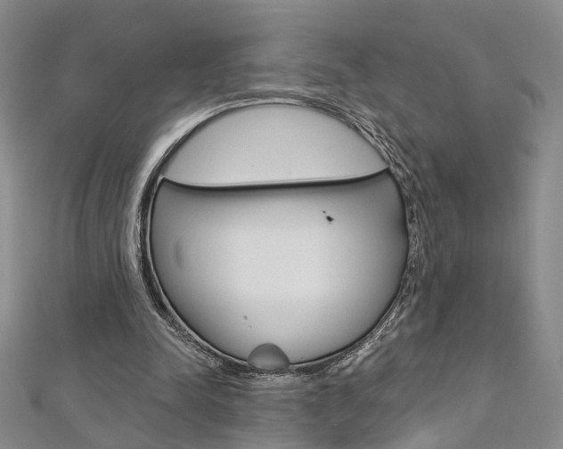 X0000113160342200909040957