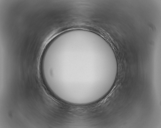 X0000113160344200909040957