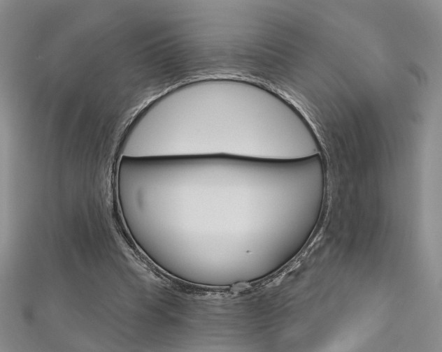 X0000113160345200909040957