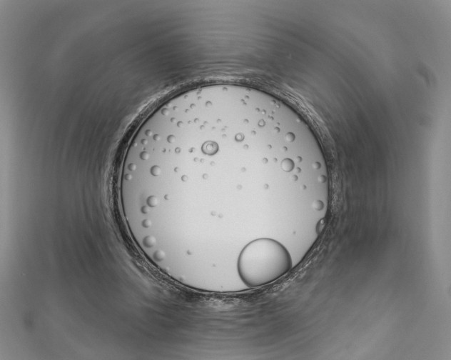 X0000113160346200909040957