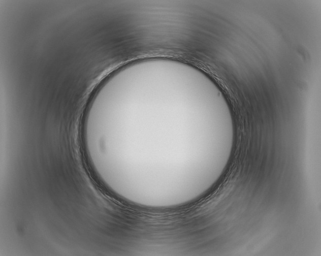 X0000113160348200909040957