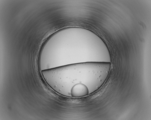 X0000113160349200909040957