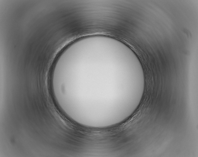 X0000113160350200909040957