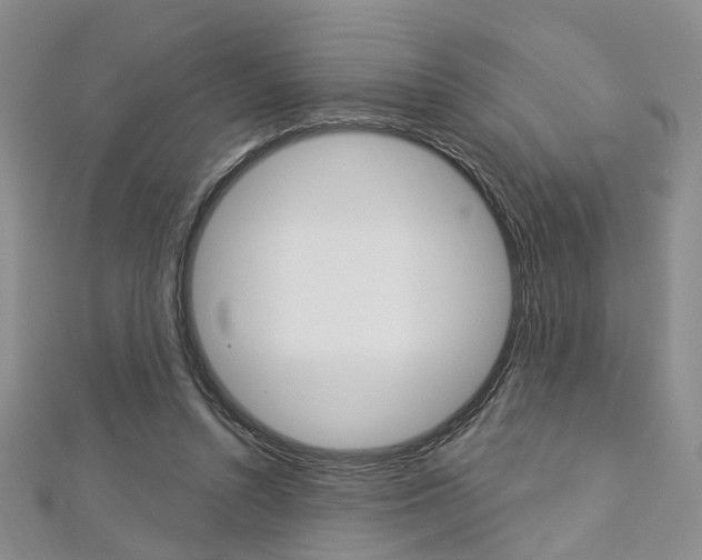 X0000113160352200909040957