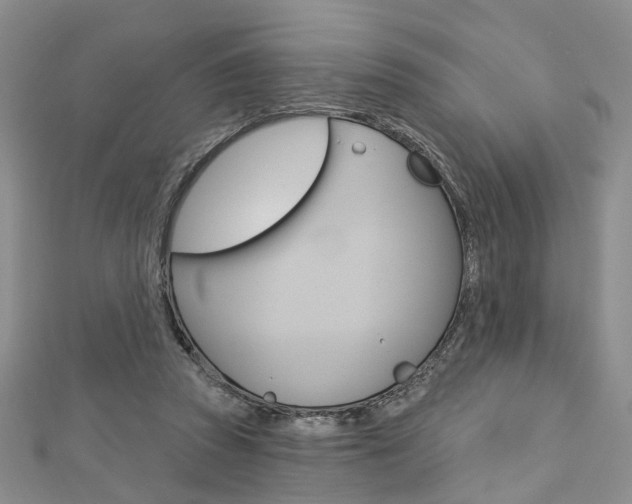 X0000113160353200909040958