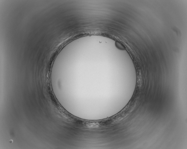 X0000113160355200909040958