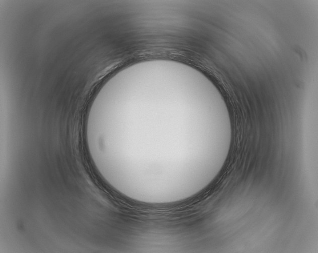 X0000113160356200909040958
