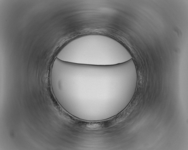 X0000113160357200909040958