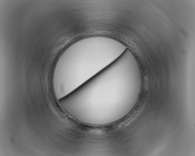 X0000113160358200909040958