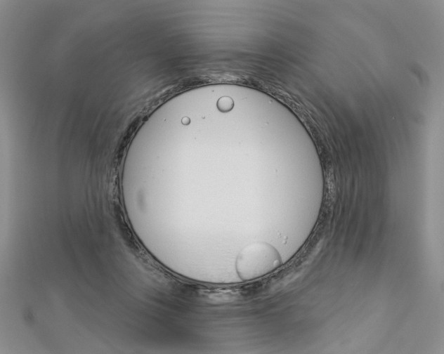X0000113160359200909040958