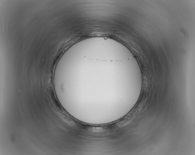 X0000113160361200909040958