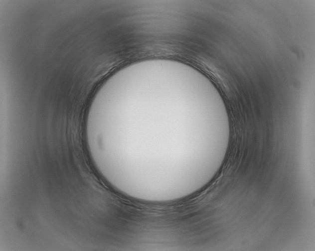 X0000113160362200909040958