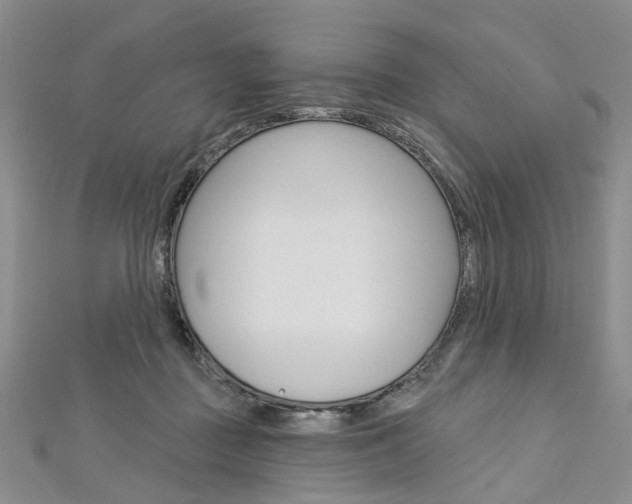 X0000113160363200909040958