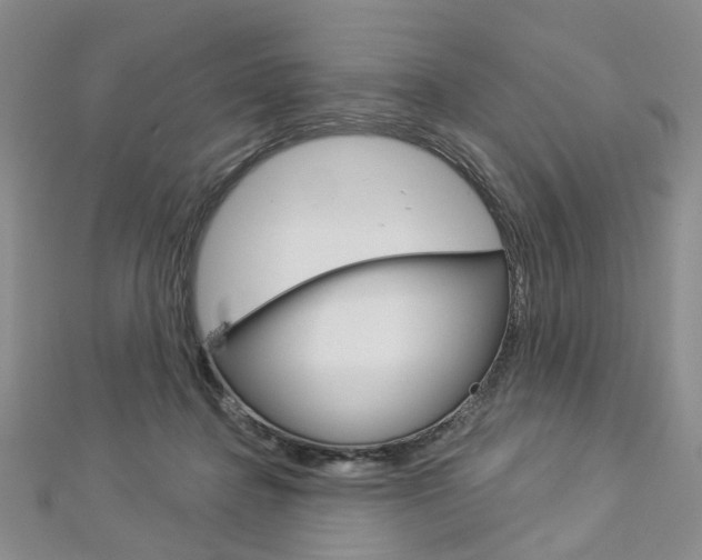 X0000113160364200909040958