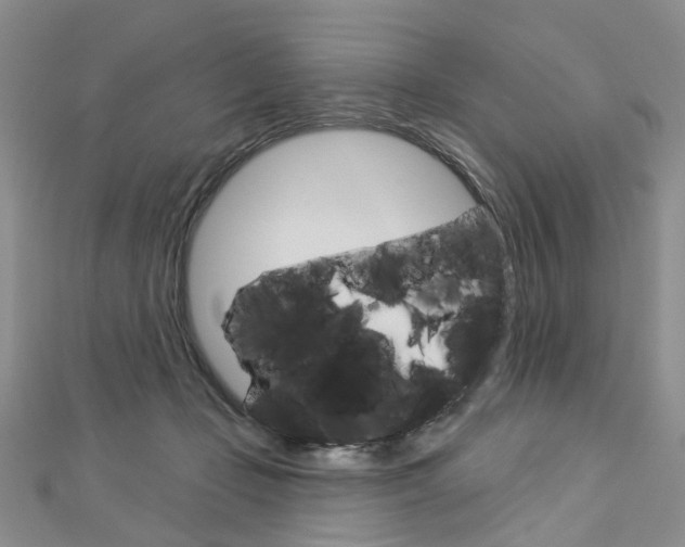 X0000113160365200909040958