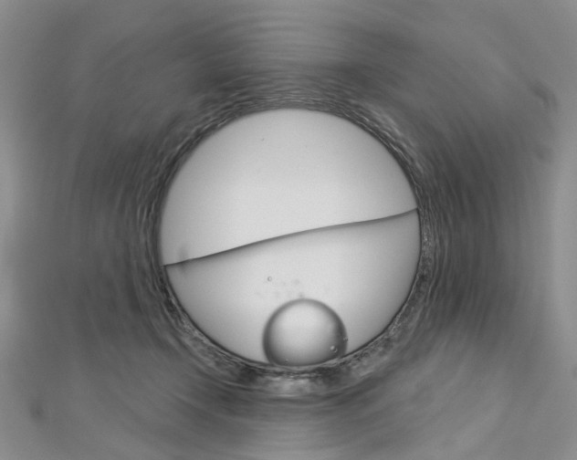 X0000113160366200909040958