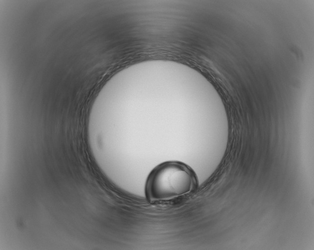 X0000113160368200909040958