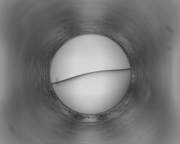 X0000113160369200909040958