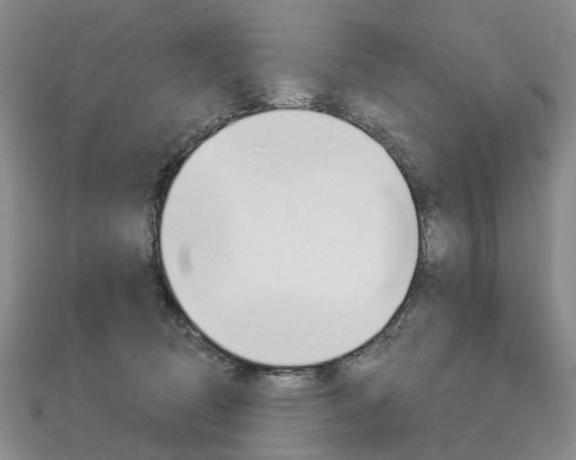 X0000113160370200909040958