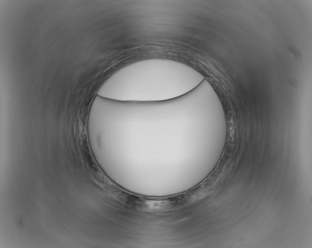 X0000113160371200909040958