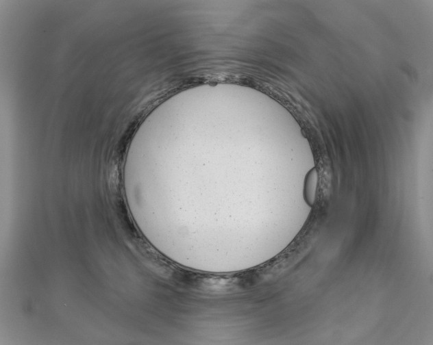 X0000113160375200909040958