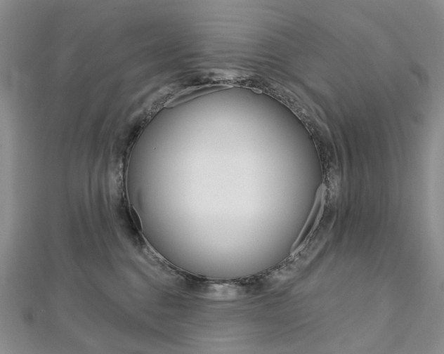 X0000113160376200909040958