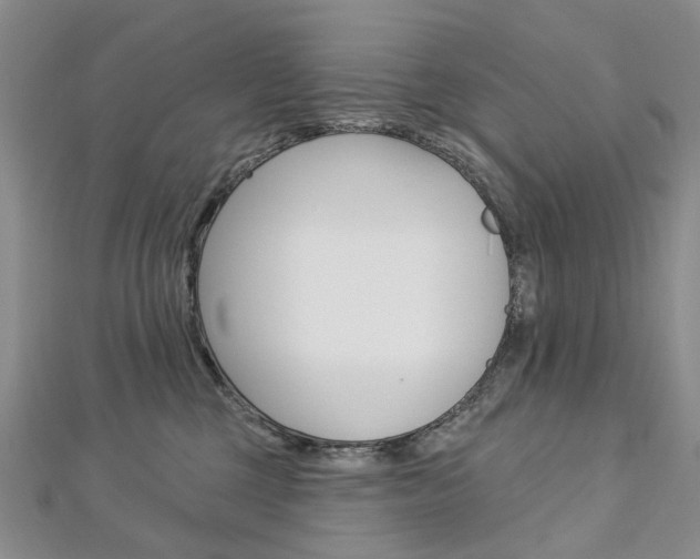 X0000113160377200909040958