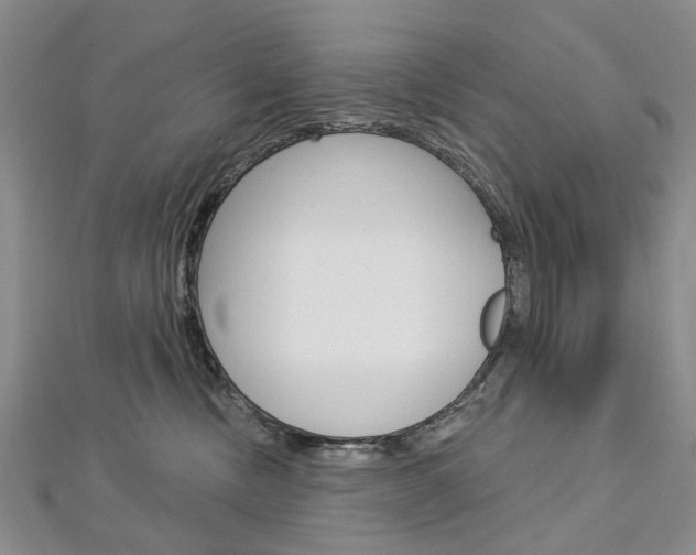 X0000113160378200909040958