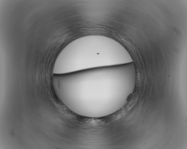 X0000113160379200909040958
