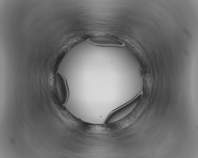 X0000113160380200909040958