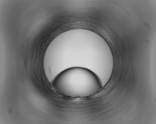X0000113160382200909040958