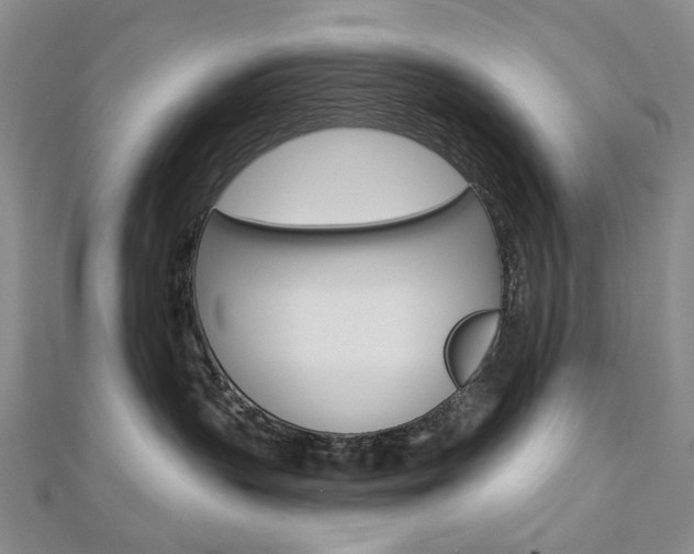 X0000113160383200909040958