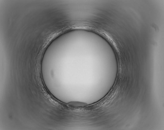 X0000113160385200909040957