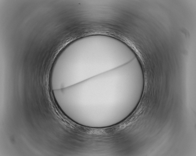 X0000113160386200909040957