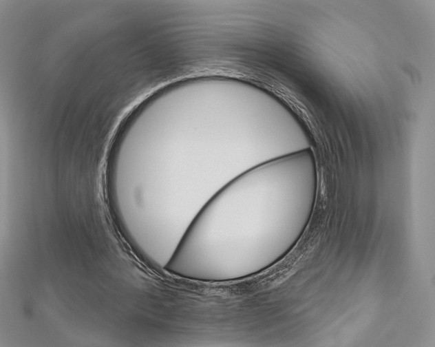 X0000113160388200909040957