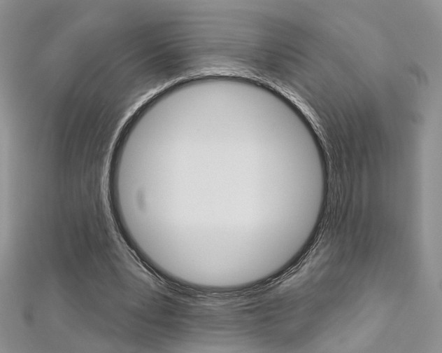 X0000113160391200909040957