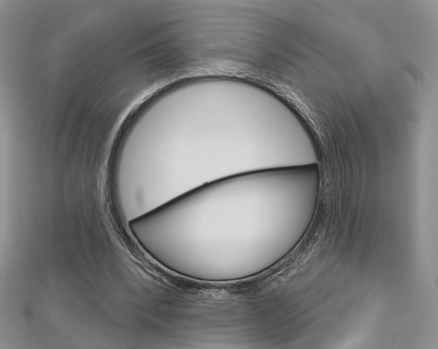 X0000113160392200909040957