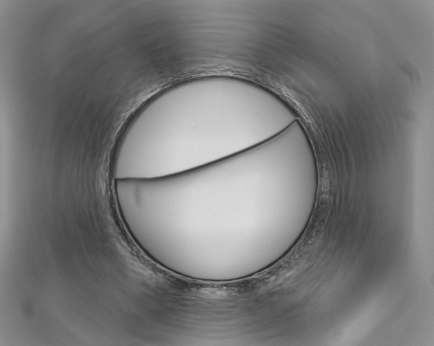 X0000113160394200909040957