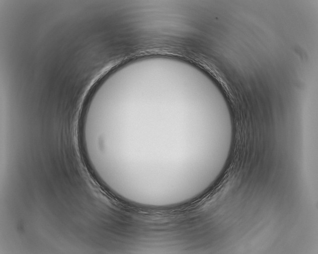 X0000113160395200909040957