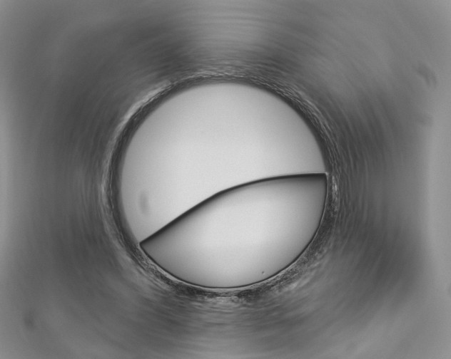 X0000113160396200909040957