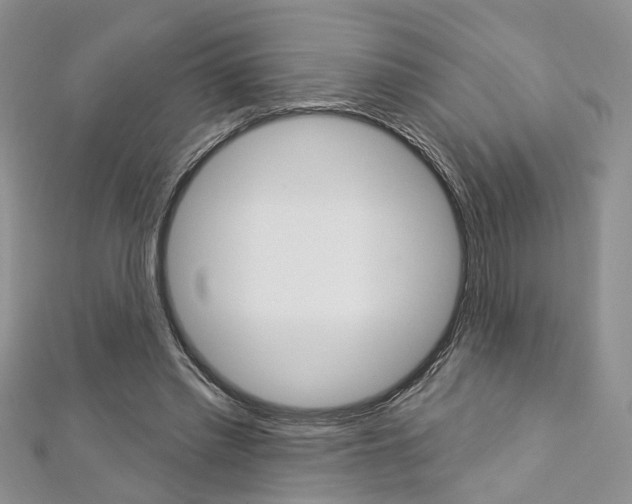 X0000113160397200909040957