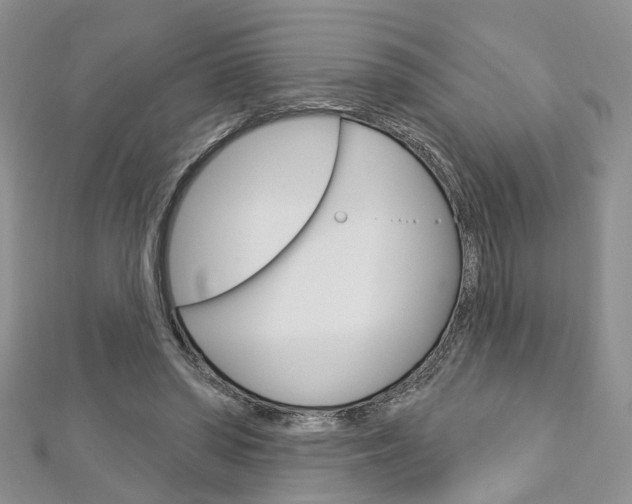 X0000113160398200909040957