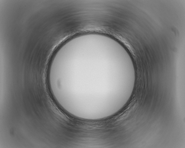 X0000113160399200909040957